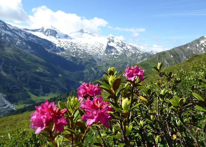 Ferienwohnung Alpenheim